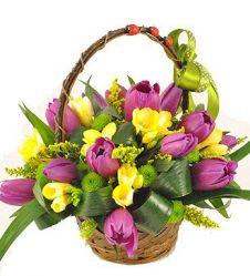 Basket with tulips and freesias