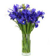 Bunch of iris flowers
