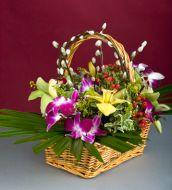 Orchids basket