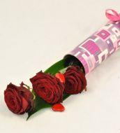 3 roses in a tube